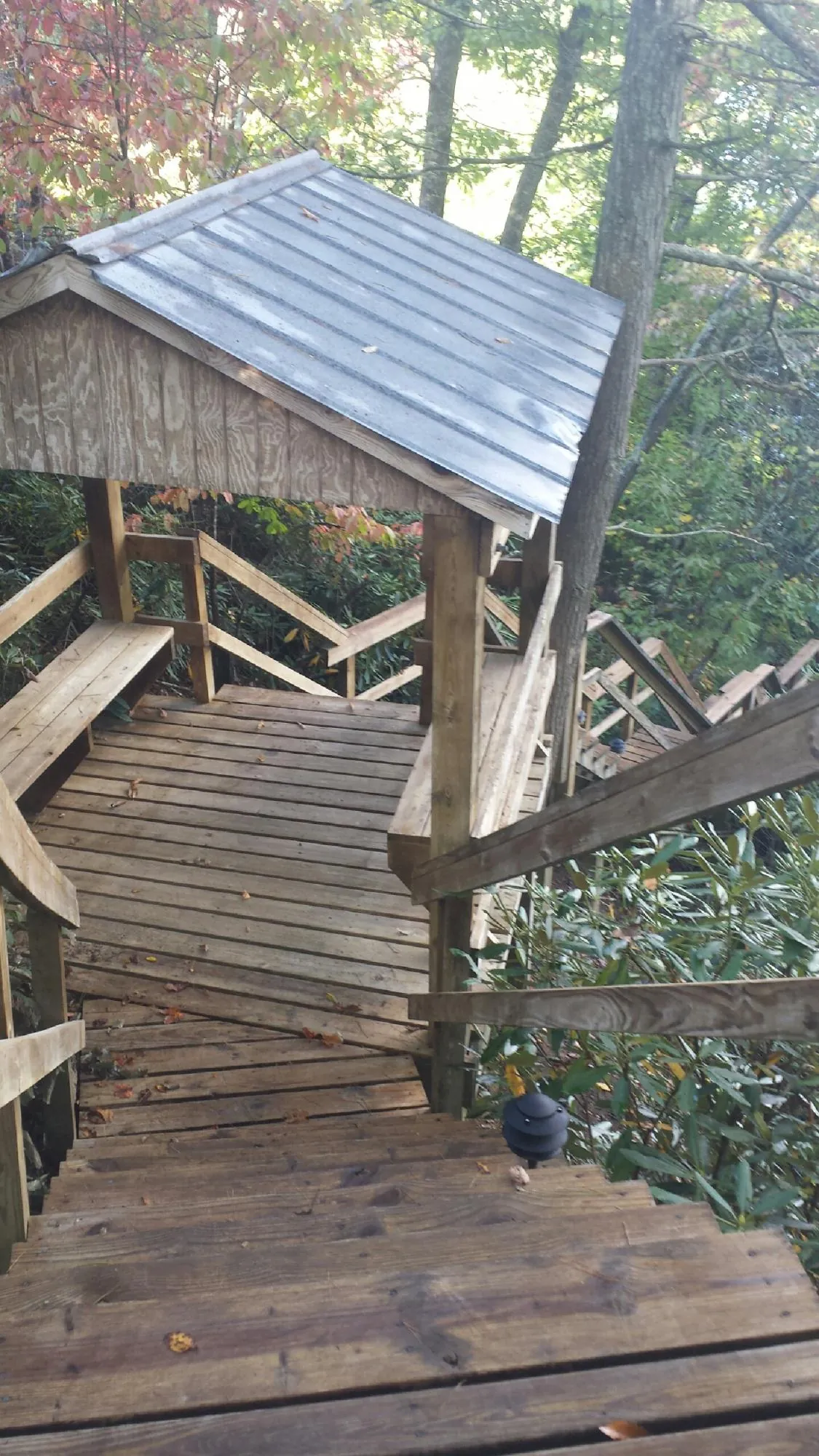 Metal roofed shelter over wooden steps on a wooded walkway — Skylight Repair & Installation work by our crew in Paulden